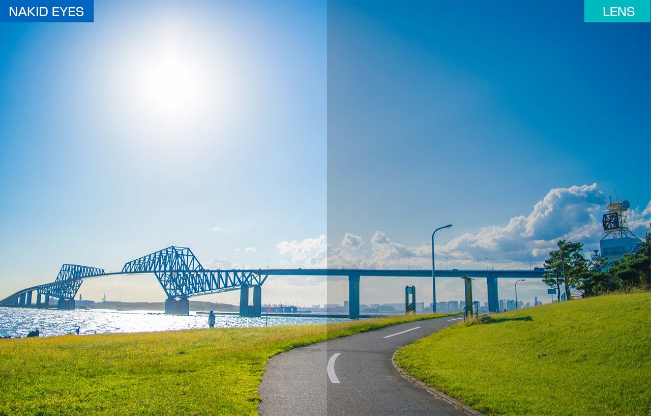 AirFly エアフライ AF-306 C-3RE WHITE MATT【VITESSE】