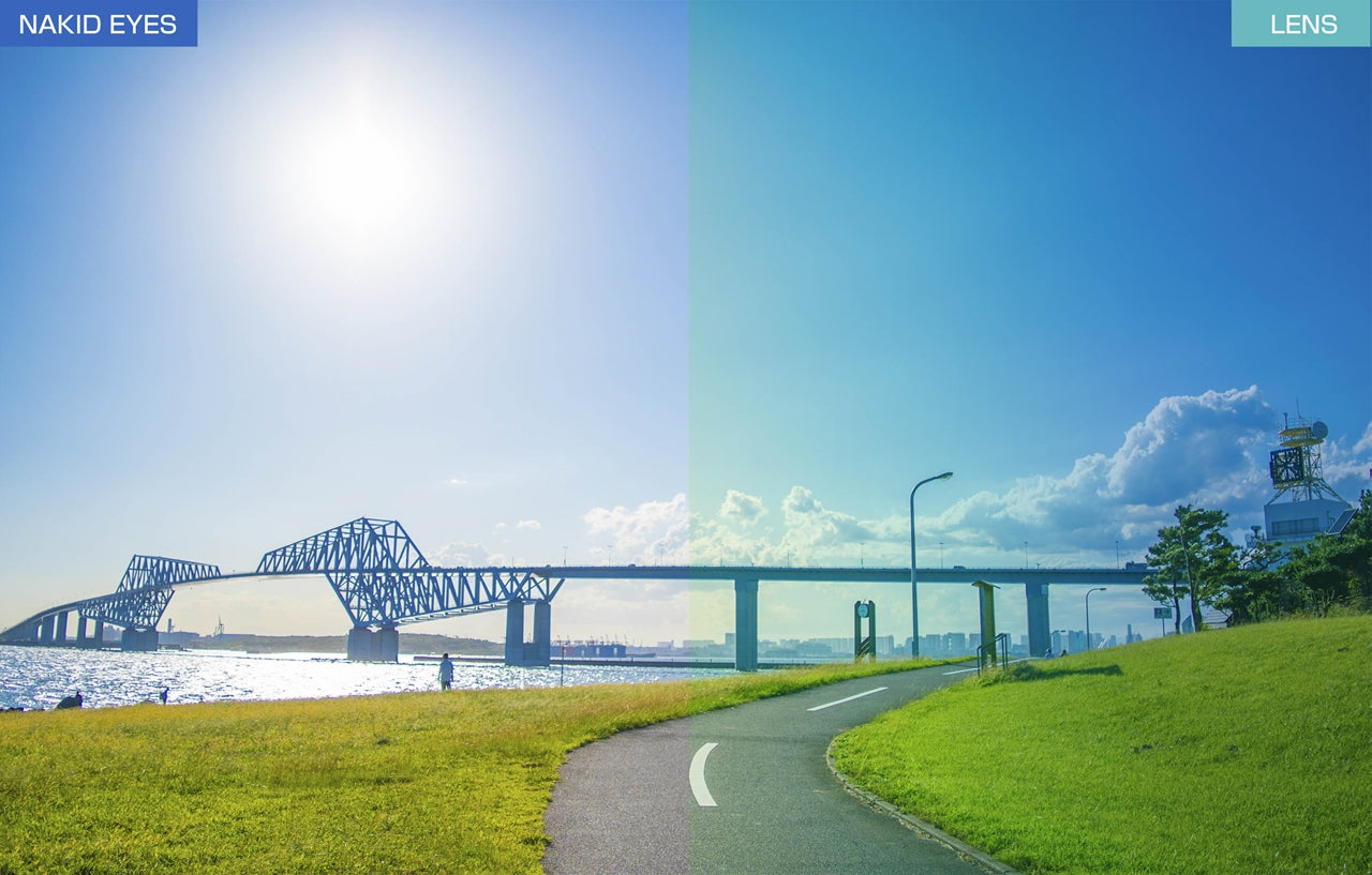 AirFly エアフライ AF-306 C-4RE ORANGE MATT【VITESSE】