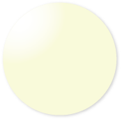 HOYA Ray Guard 435 Fine (イエロー)